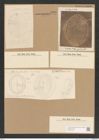 Diatomeae indet. Zeichnungen Sammlung Grunow Nr. 3760 (NHMW-BOT-W0371415)